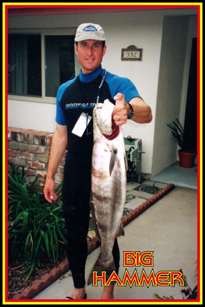 Big Hammer Swimbait Tail Shad Fishing Mold Lure Bait Soft Plastic 56-100 mm  #Boog
